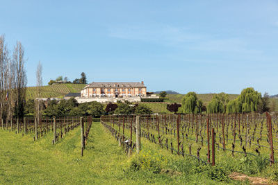 Women of the Vine